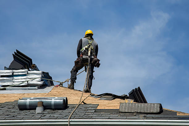 Professional Gutter Installation technician working in Alvarado, MN